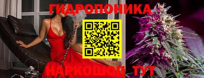 стафф Пыть-Ях