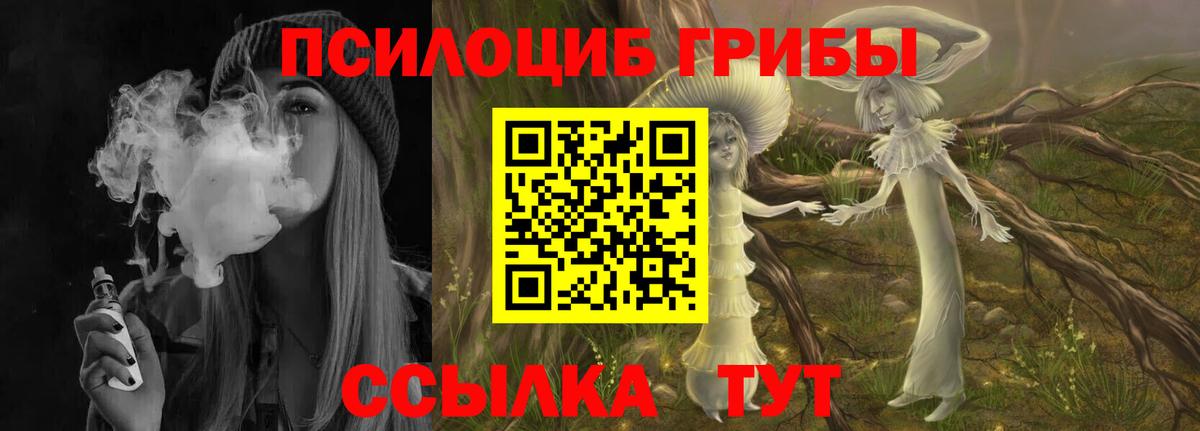 Галлюциногенные грибы MAGIC MUSHROOMS Сертолово