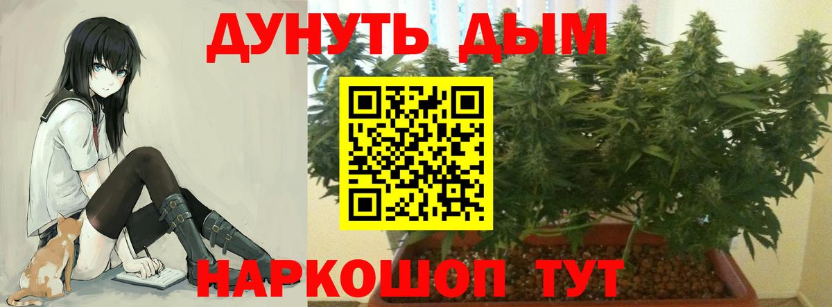 МАРИХУАНА индика Сертолово